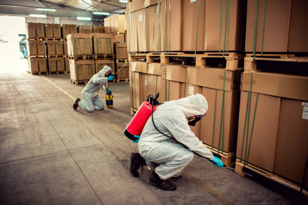 Best Local Pest Control Services  in San Castle, FL