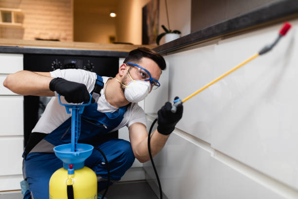 Best Emergency Pest Control  in San Castle, FL