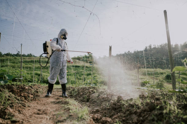 Best Mosquito Control Services  in San Castle, FL
