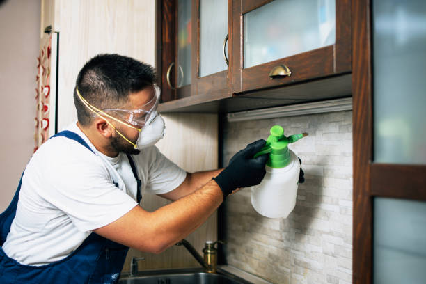 Best Residential Pest Control  in San Castle, FL