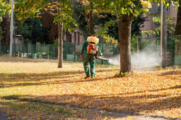Best Pest Removal Services  in San Castle, FL